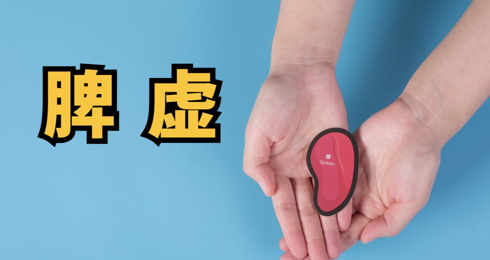 脾阳虚